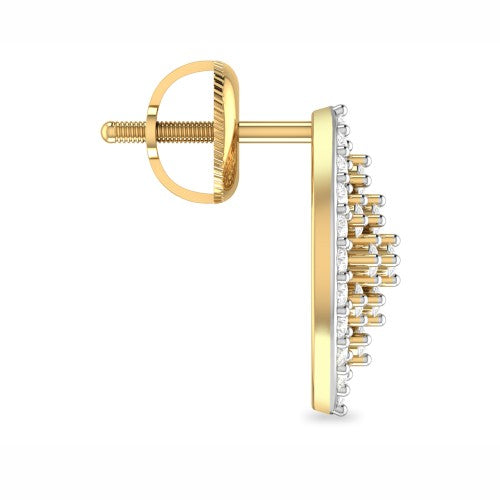 Elegant Diamond Earrings